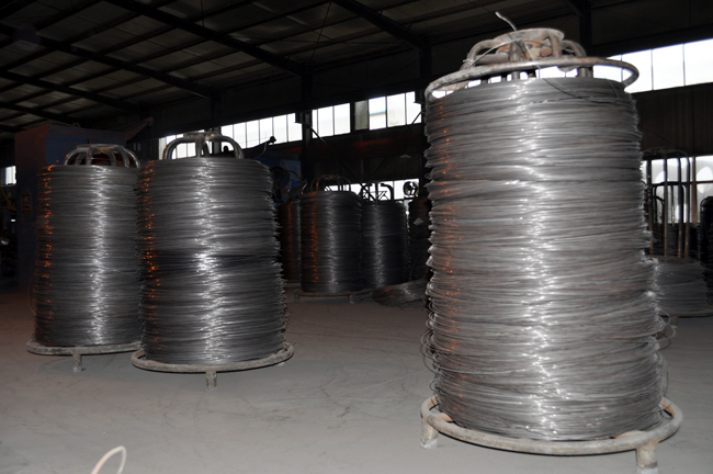 Steel Wire Rod